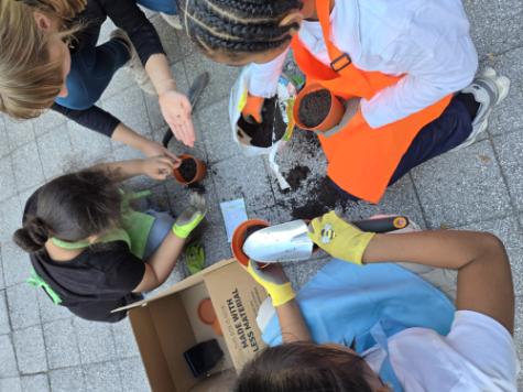 School & Community Engagement